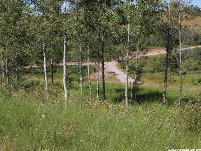 14 Elk Watch Ln - Photo 1