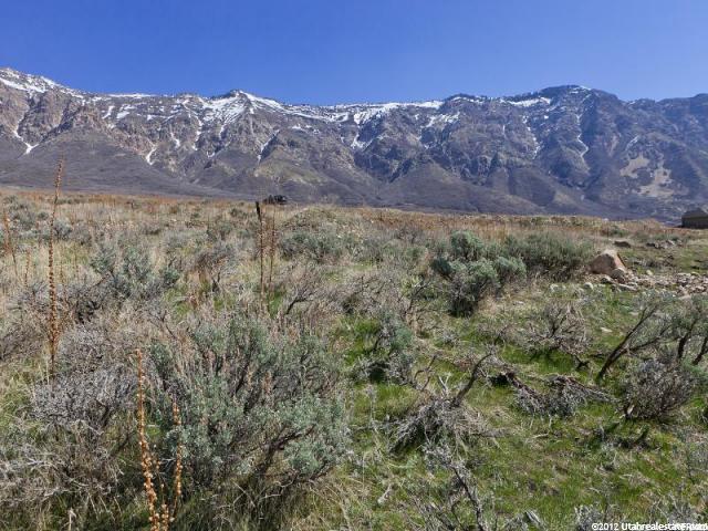 3800 598 - Photo 1