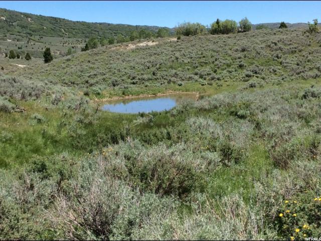 22991 Alta Dr - Photo 1