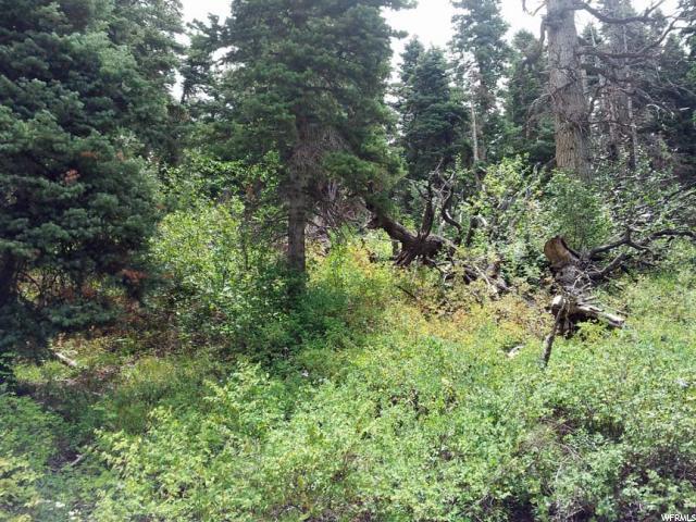 1251 North Fork Rd - Photo 1
