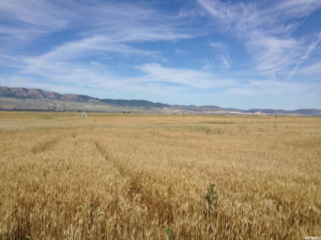 23800 Hwy 91 - Photo 1