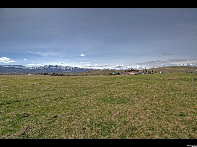 519 3600 - Photo 1