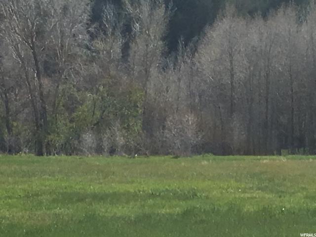 3750 Highway 36 - Photo 1