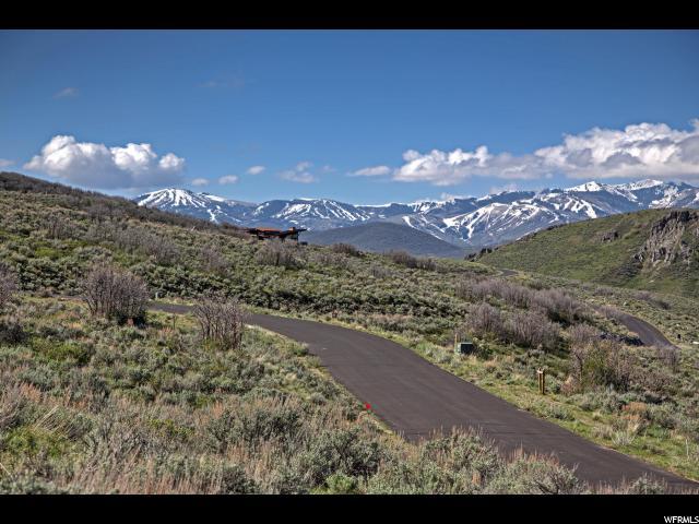 9228 Spotted Owl Ct - Photo 1