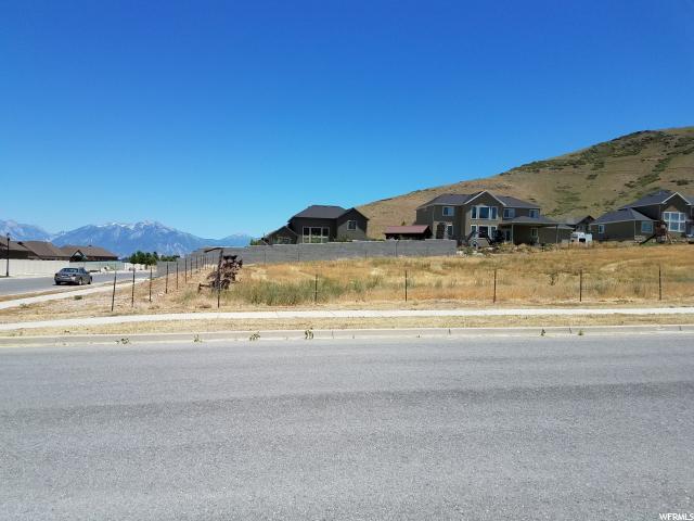 14417 Temecula Ct - Photo 1