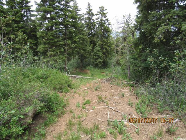 5 Pine Ridge - Photo 1