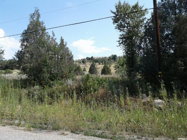 12672 Evergreen Park Dr - Photo 1
