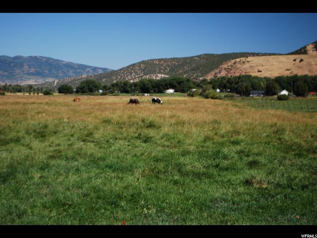 3144 5000 - Photo 1