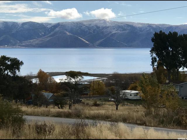 115 Persimmon Ln - Photo 1