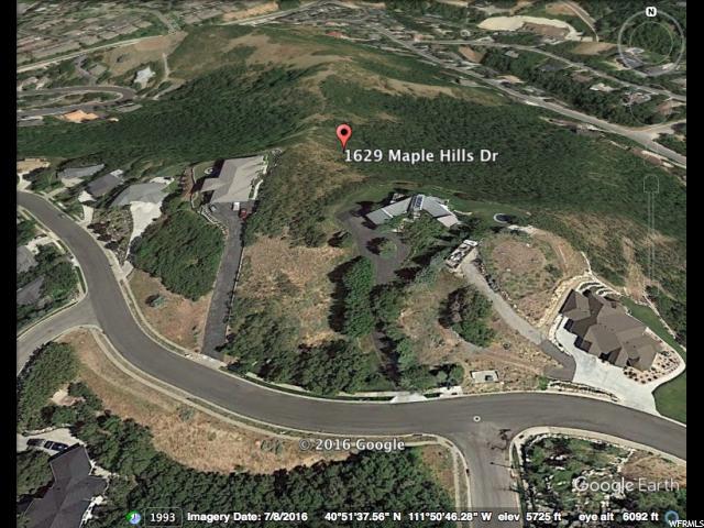 1629 Maple Hills Dr - Photo 1