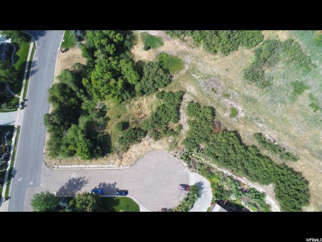 1797 Ichabod Ln - Photo 1