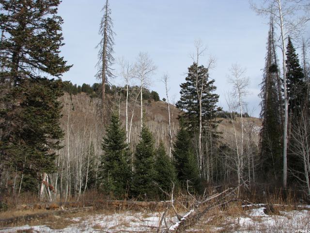 1234 Cedar Creek Cow Fork - Photo 1