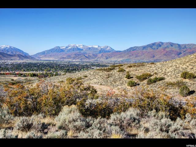 1703 Chimney Rock Rd (Lot 532) - Photo 1