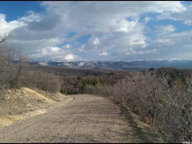 13 Red Fox Way - Photo 1