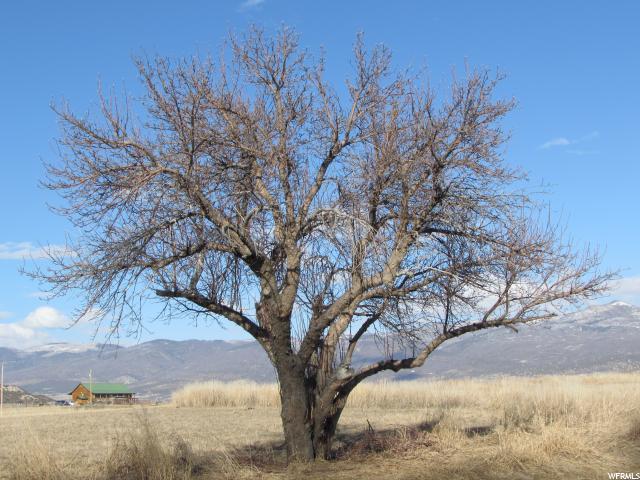 8245 19400 - Photo 1