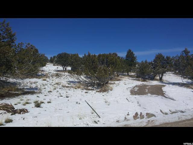 2000 Kane Valley Rd - Photo 1
