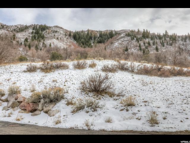 3738 Catamount Ridge Way - Photo 1