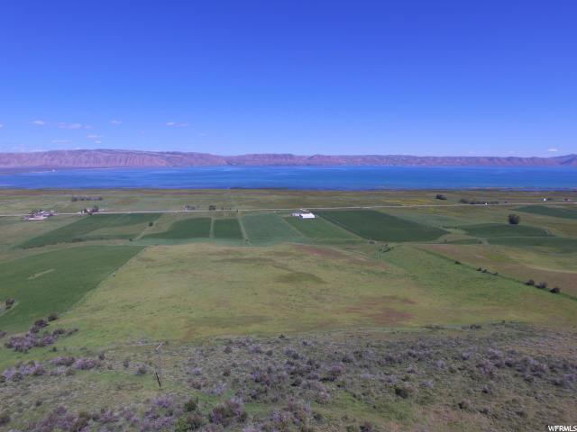 43 Jacobs Canyon Road - Photo 1