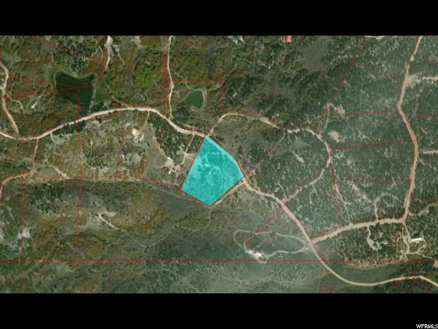 39635 Tabby Heights Rd - Photo 1