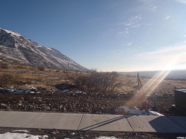 3950 Box Elder Way - Photo 1