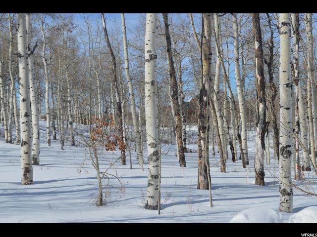 11599 Marigold Ln - Photo 1