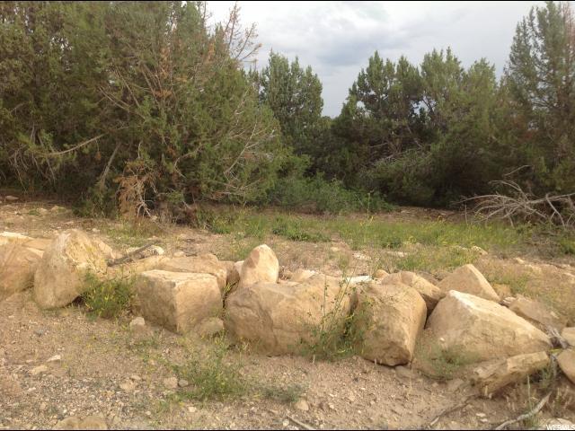 12820 Juniper Dr - Photo 1