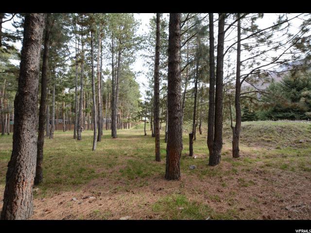 275 East Field Cir - Photo 1