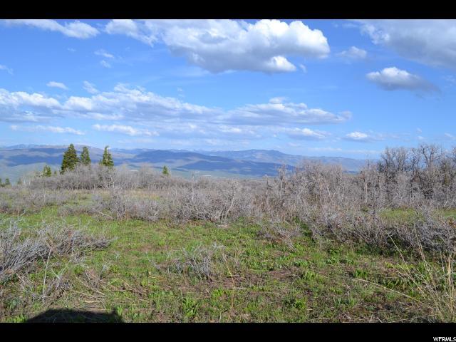 400 Porcupine Loop - Photo 1