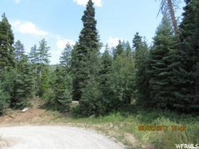 39 Pcr Acres - Photo 1