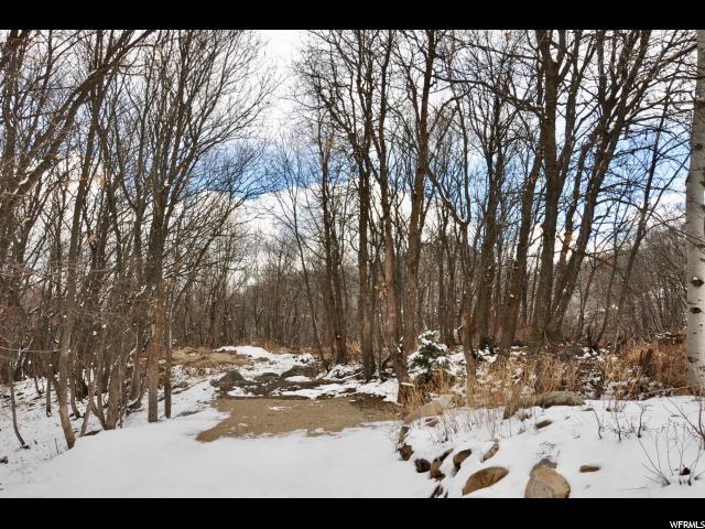 8842 Timphaven Rd - Photo 1