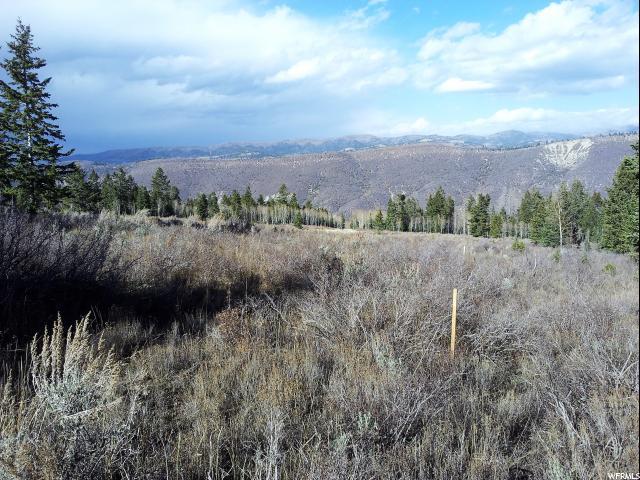 22732 Snowbird Dr - Photo 1