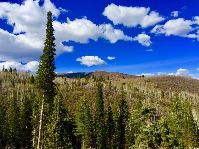 483 Porcupine Loop - Photo 1