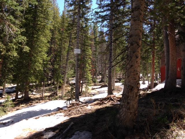 8282 Big Cottonwood Cyn #8306 Rd - Photo 1