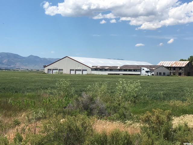 4800 Little Mountain Rd - Photo 1