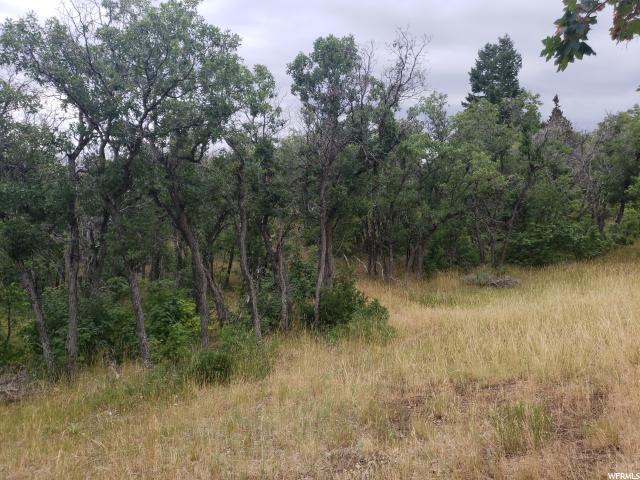67 Holiday Oaks - Photo 1