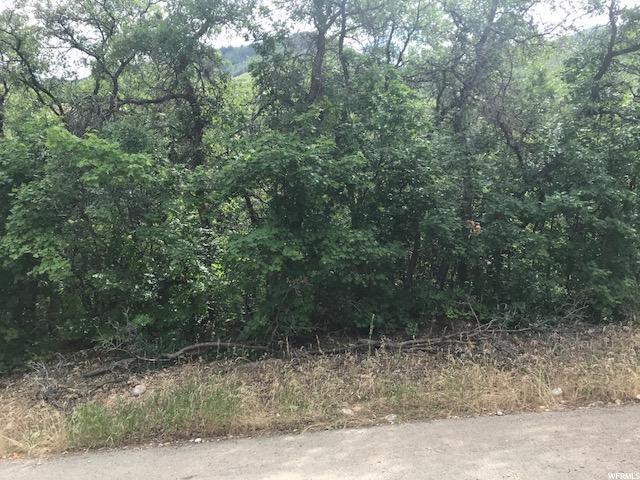 875 Skylake - Photo 1