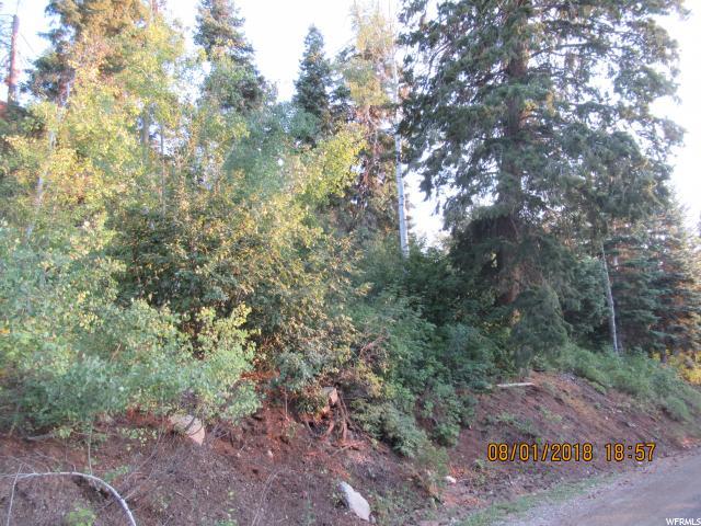 13910 Juniper Dr - Photo 1