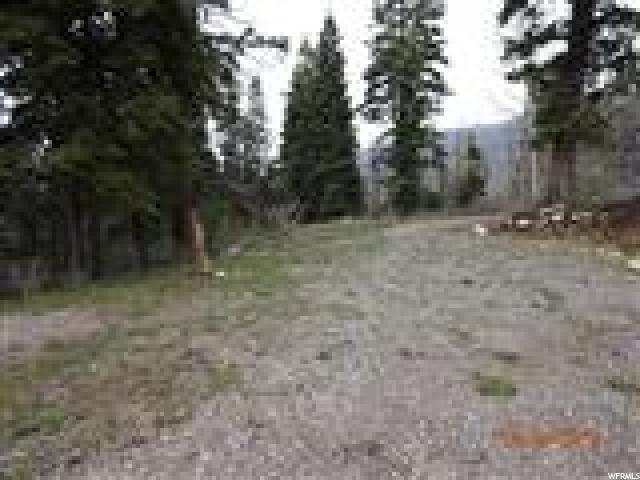 14555 Pine Spgs - Photo 1