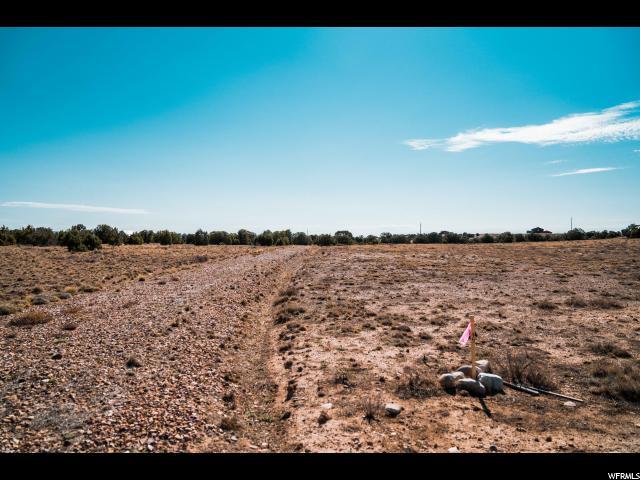 9465 Big Buck Run Rd - Photo 1