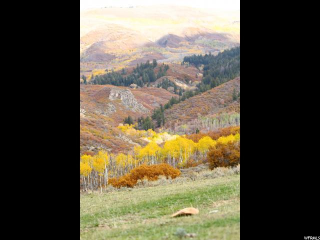 1201 Center Creek Rd - Photo 1