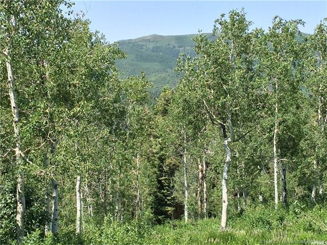 595 Porcupine Loop - Photo 1