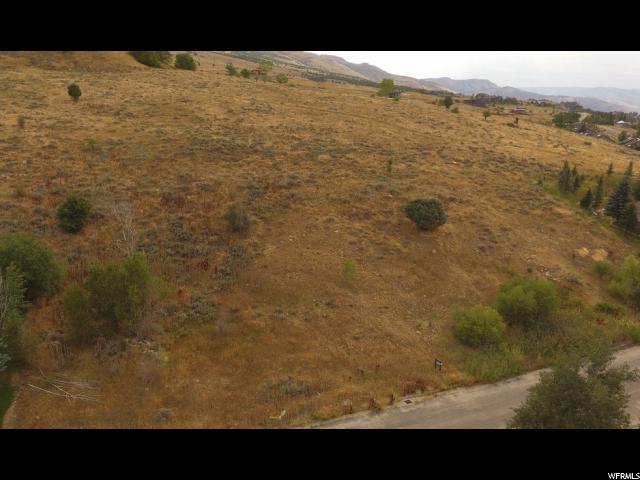 4088 Wolf Ridge Cir - Photo 1