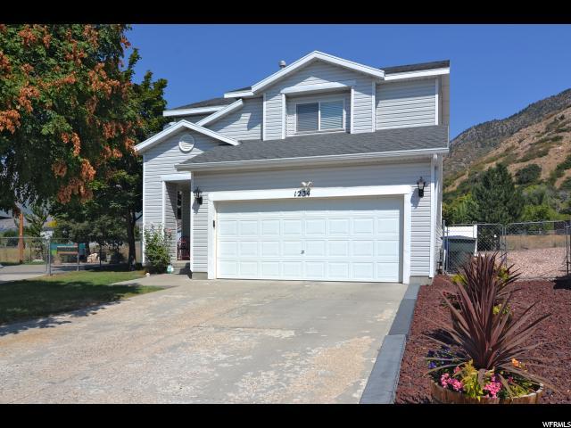 1234 Willard Peak Cir - Photo 1