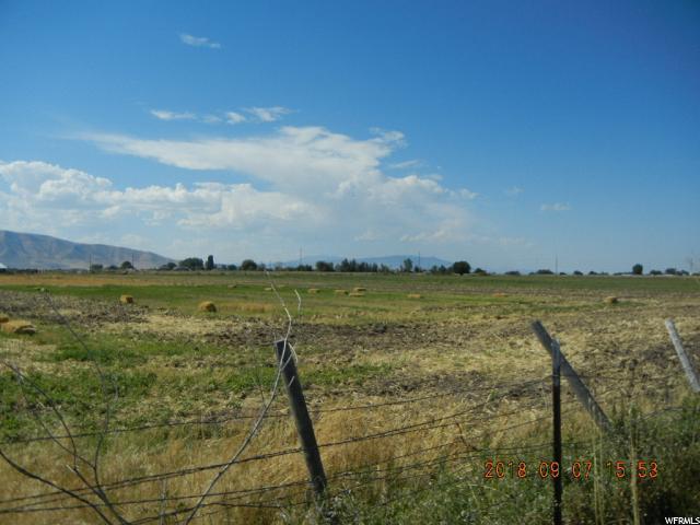 1500 1500 - Photo 1