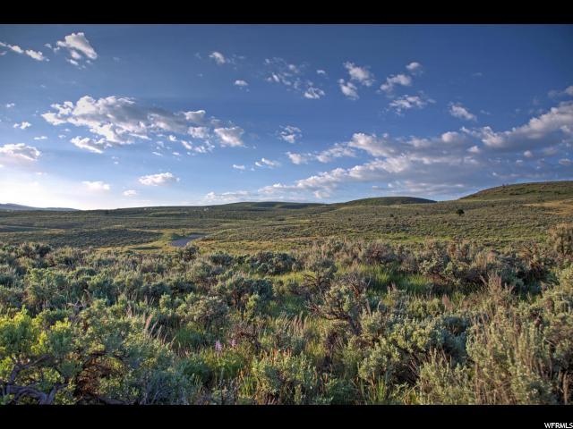 5870 Caddis Cir - Photo 1