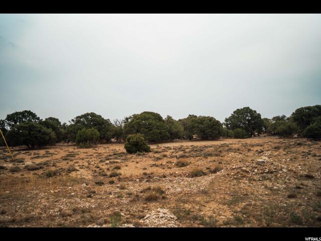 12797 George Marett Dr - Photo 1