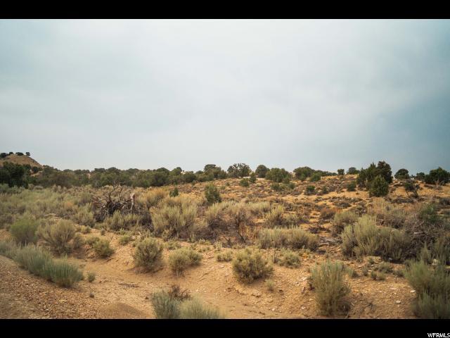 12888 Coyote Canyon Cv - Photo 1