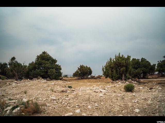 12951 George Marett Dr - Photo 1