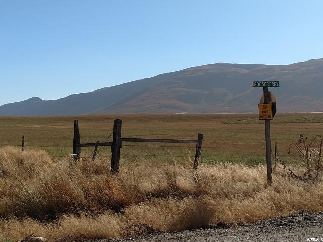11240 Reservoir Rd - Photo 1