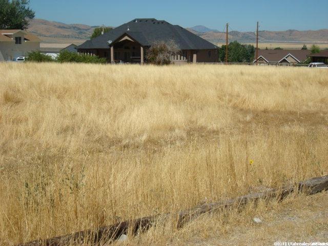 350 150 - Photo 1